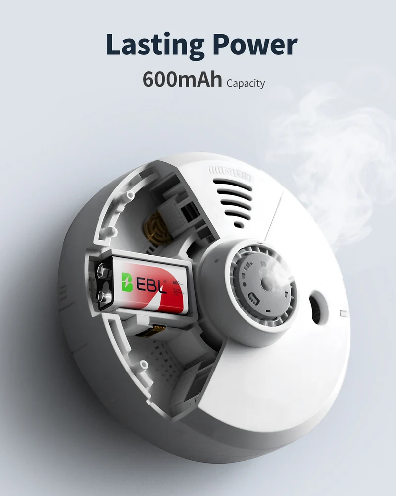EBL 9V Li-ion Rechargeable Batteries with Smart Battery Charger, 9V Battery and Charger Set for Smoke Alarms, Wireless Microphones, Multimeters, Toys & More