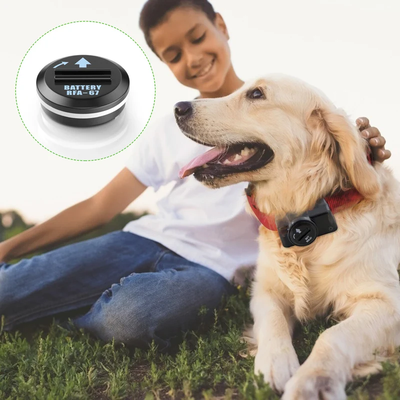 EBL RFA-67 6 Volt Pet Collar Replacement Batteries