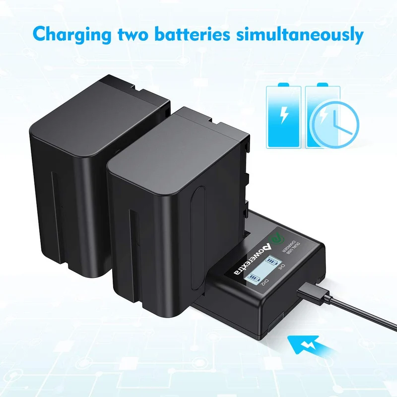 Dual Battery Charger with USB LCD Display for Sony