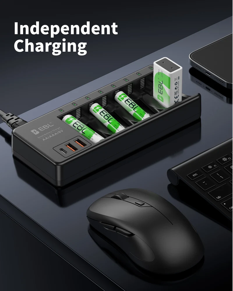 EBL AA AAA 9V Individual Battery Charger with AA AAA 9V Batteries