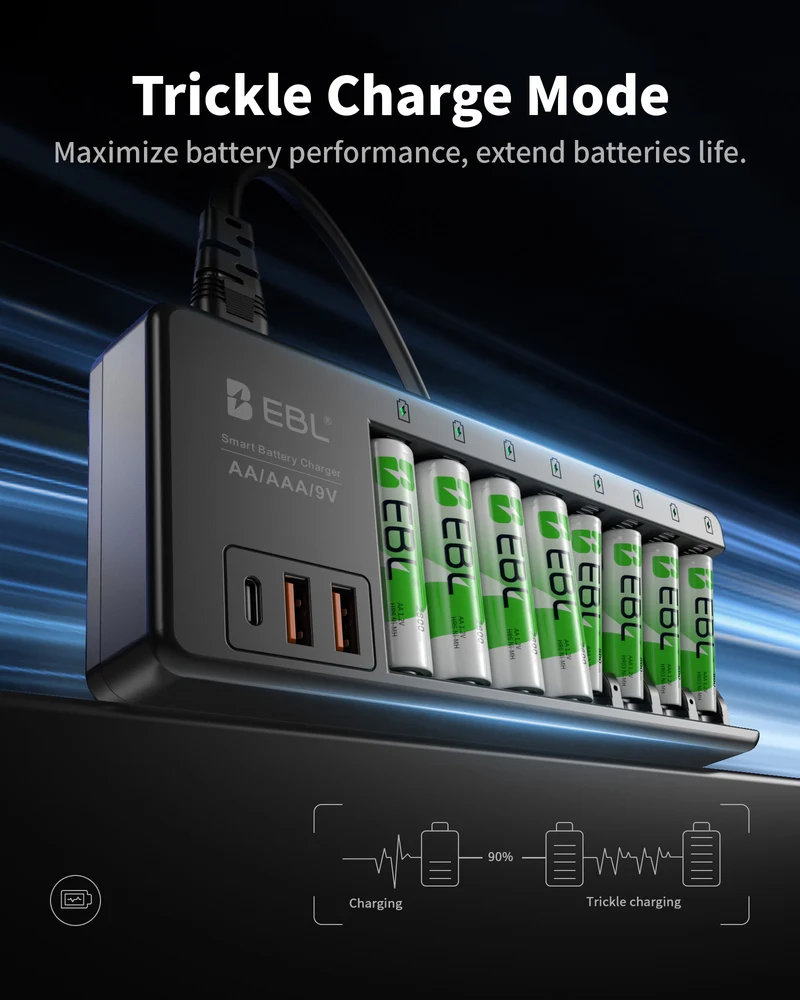 EBL AA AAA 9V Individual Battery Charger with AA AAA 9V Batteries