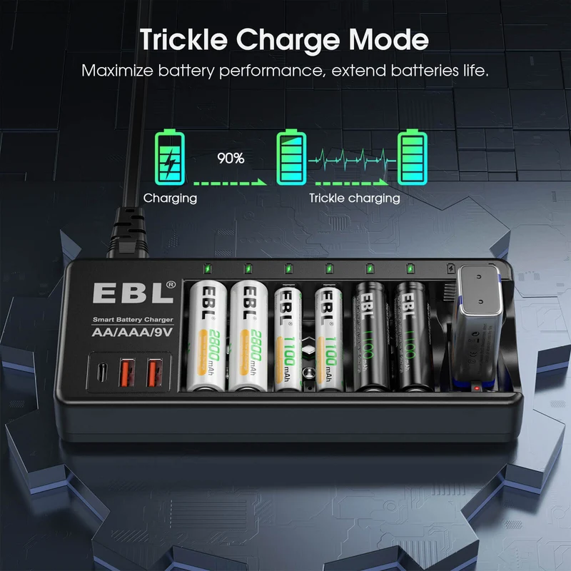 EBL AA AAA 9V Individual Battery Charger with AA AAA Batteries