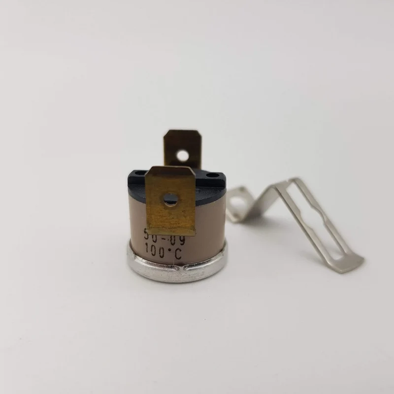 Termostato 100°c na per vaporella forever 400 Polti