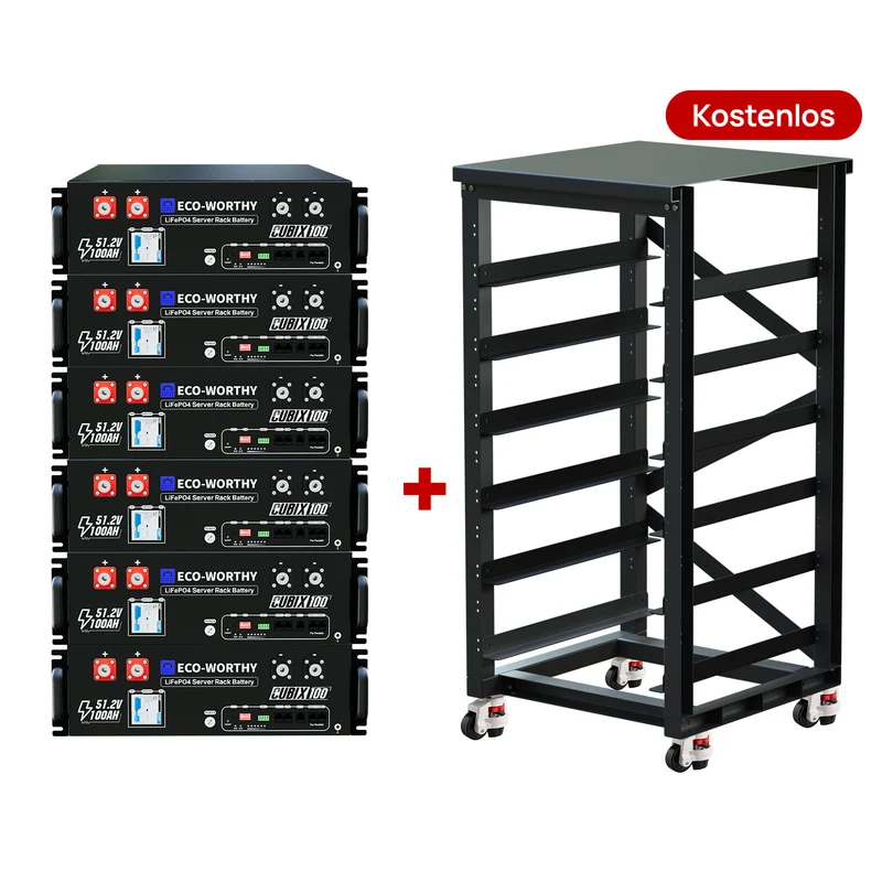 ECO - WORTHY Batería para rack de servidorc Batería para rack de servidor de 48V(51,2V) 100 Ah LiFePO4, tamaño 3U, con Bluetooth y wifi