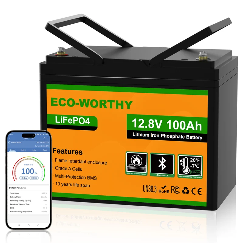 ECO-WORTHY Batería Litio LiFePO4 12V 100Ah con Bluetooth