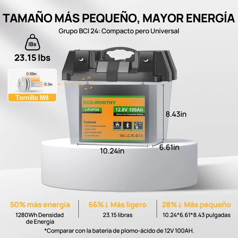 ECO-WORTHY Batería Litio LiFePO4 12V 100Ah con Bluetooth