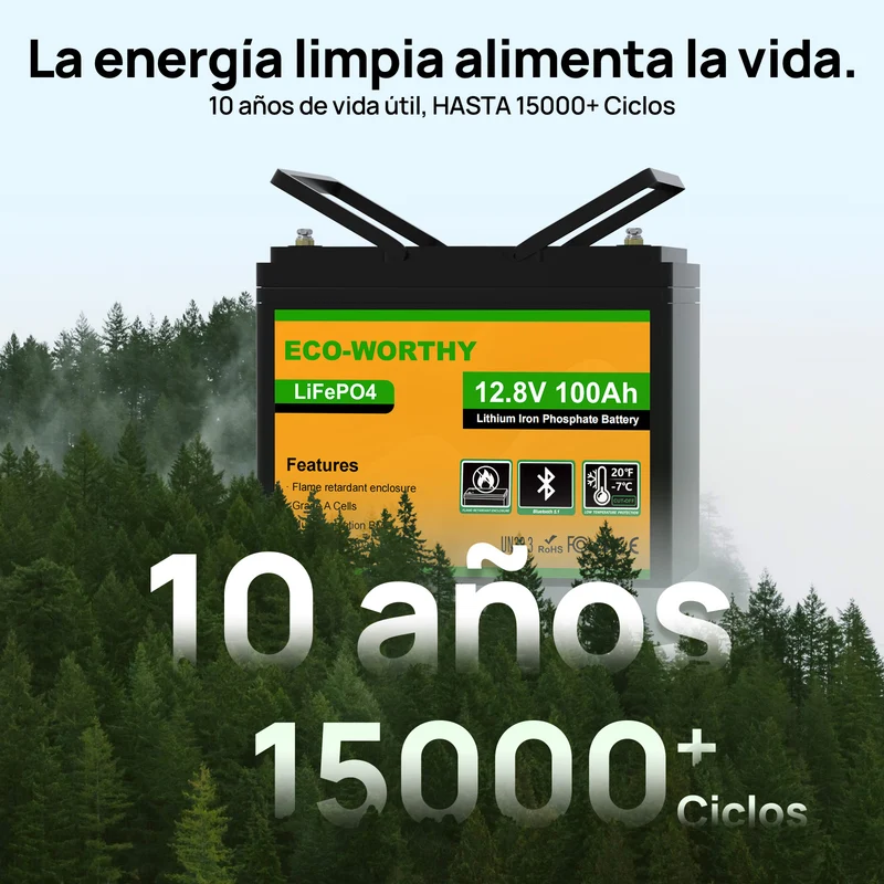 ECO-WORTHY Batería Litio LiFePO4 12V 100Ah con Bluetooth