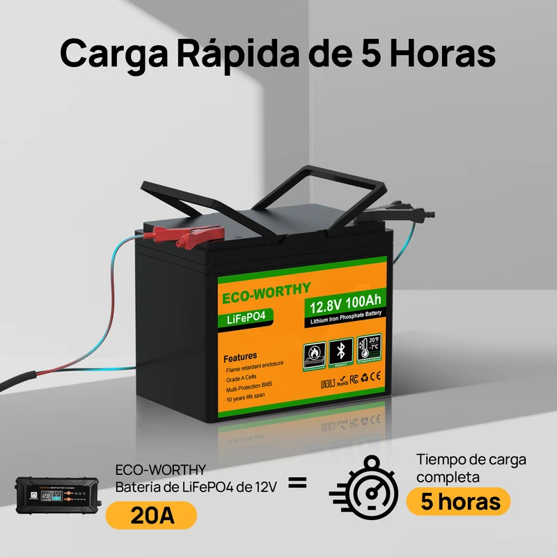 ECO-WORTHY Batería Litio LiFePO4 12V 100Ah con Bluetooth