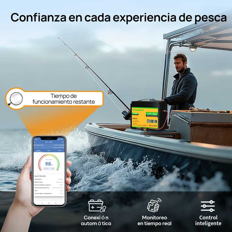 Batería Litio LiFePO4 12V 50Ah