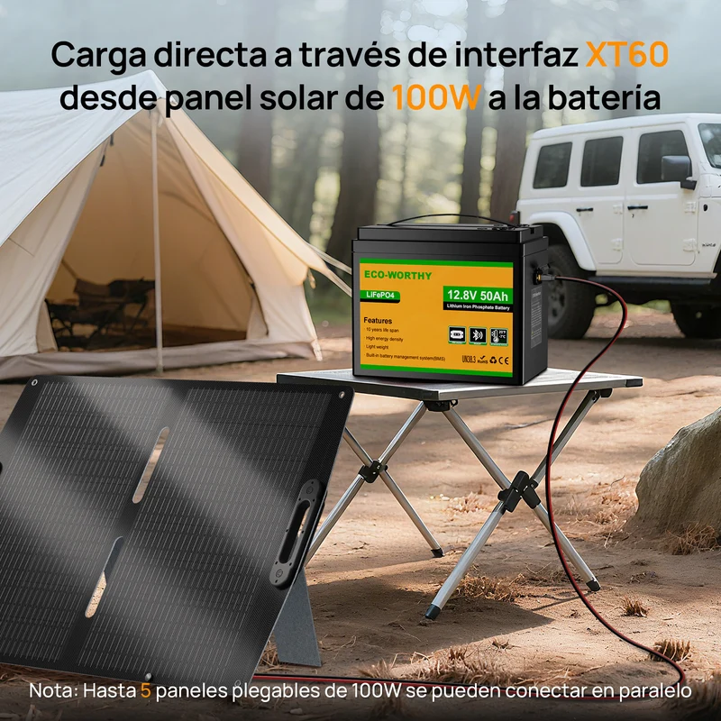 Batería Litio LiFePO4 12V 50Ah