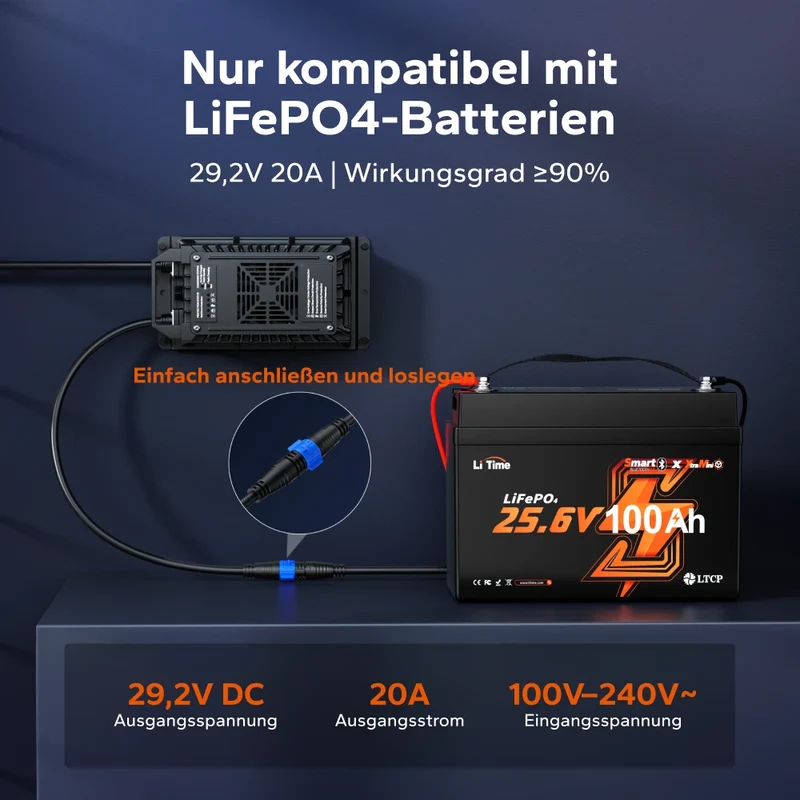 LiTime 24V (29,2 V) 20 A wasserdichtes Lithium-Batterieladegerät zur Festmontage