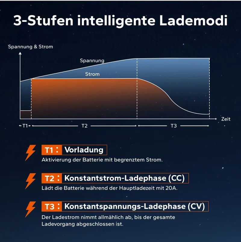 LiTime 24V (29,2 V) 20 A wasserdichtes Lithium-Batterieladegerät zur Festmontage