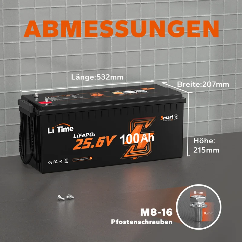 [Ukraine] LiTime 24в 100ач Низькотемпературний LiFePO4 батарея з Bluetooth BMS 100A