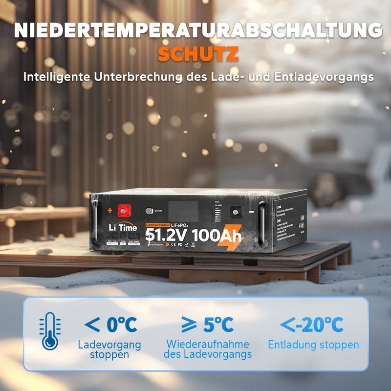 LiTime LiFePO4 51,2V 100Ah Solarbatterie Smart ComFlex 3U rack mit BMS