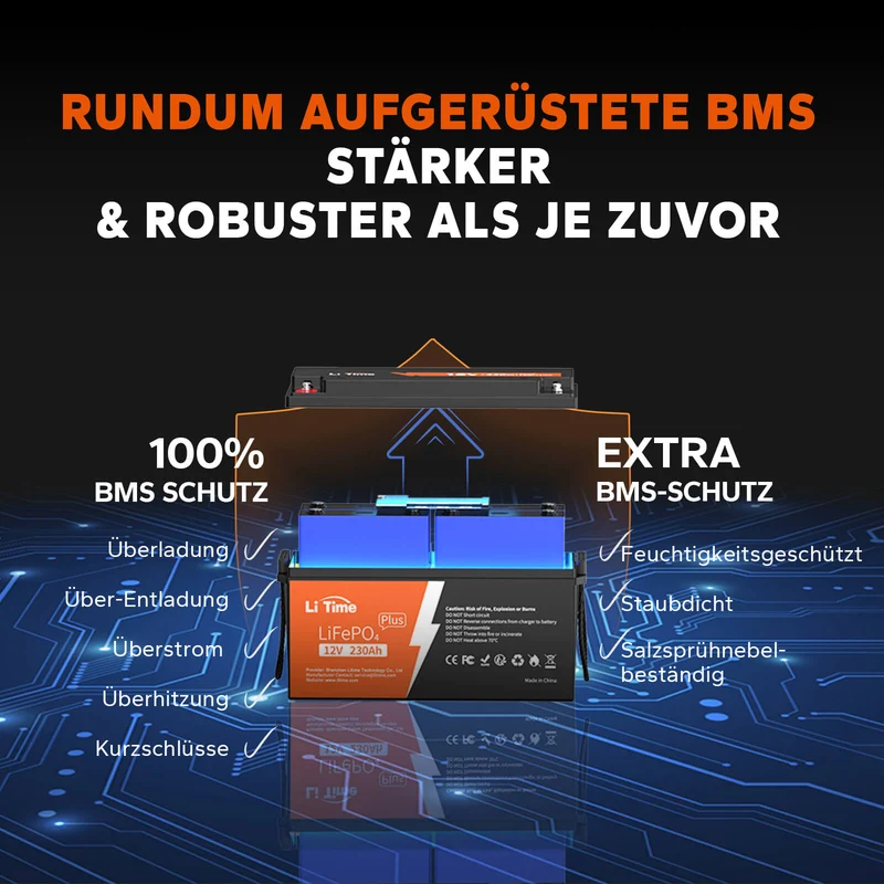 【Ukraine】LiTime LiFePO4 12V 230Ah Plus акумулятор глибокого циклу – з BMS на 200A