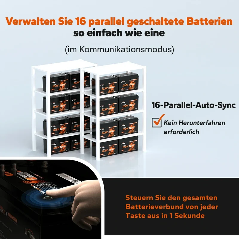 LiTime 12V 100Ah Smart ComFlex Batterie mit Bluetooth & Victron-Kommunikation