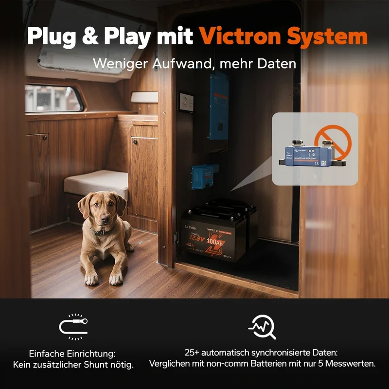 LiTime 12V 100Ah Smart ComFlex Batterie mit Bluetooth & Victron-Kommunikation