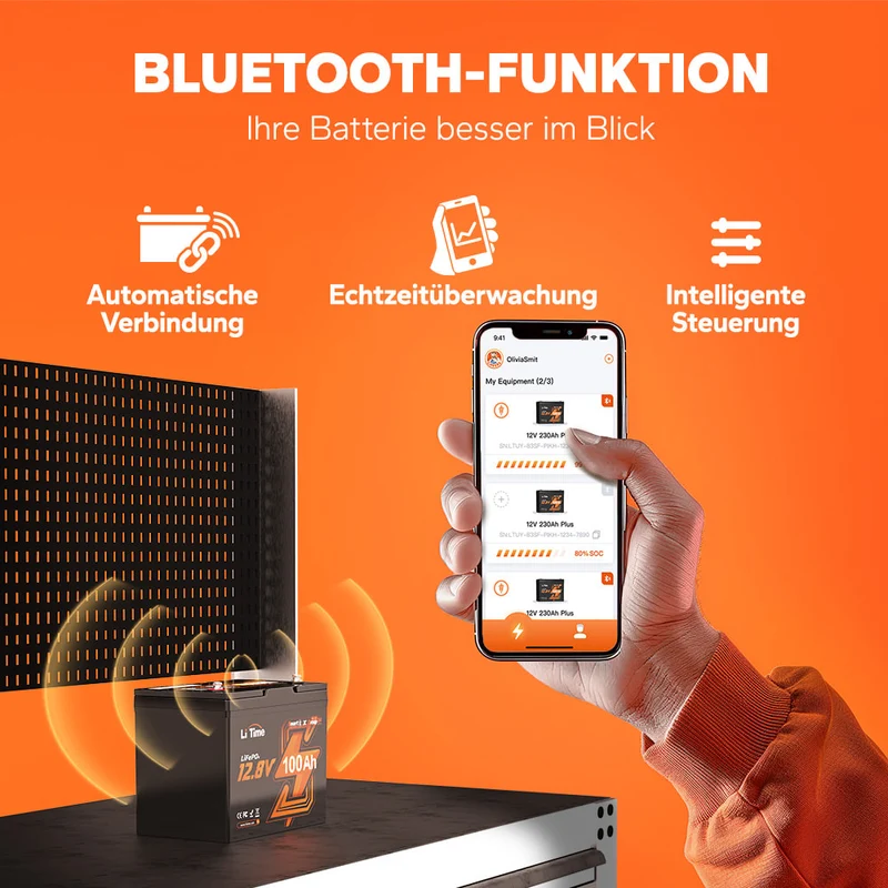12V 100Ah Group24 Wohnmobil Bluetooth Deep Cycle Lithium Batterie für MiniCamper
