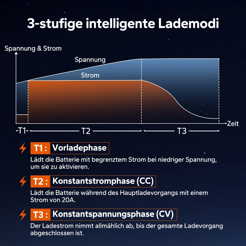 LiTime 14.6V 20A Lithium Batterieladegerät für 12V LiFePO4 Lithium Batterie