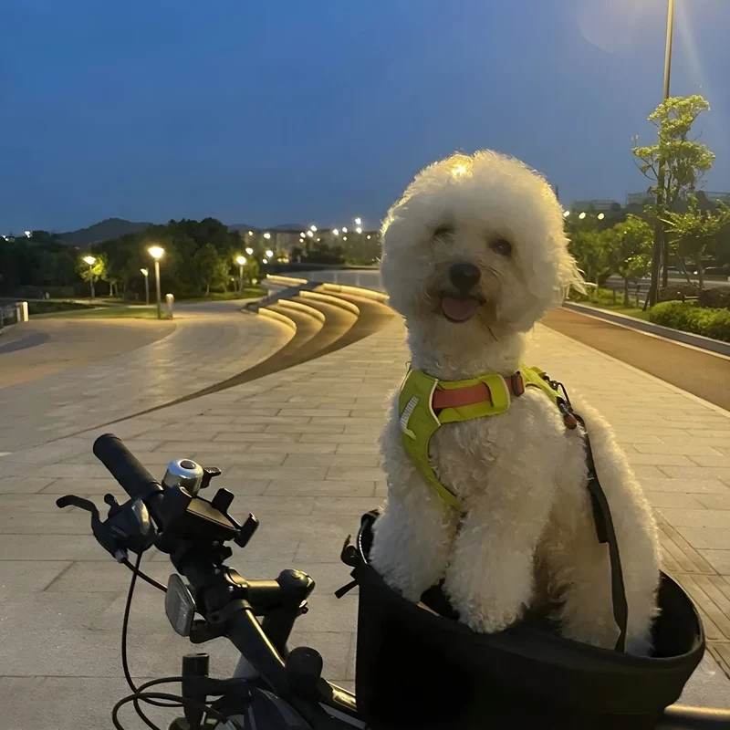 Cesta inteligente para bicicleta para perro