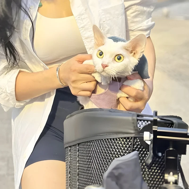 Cesta inteligente para bicicleta para perro