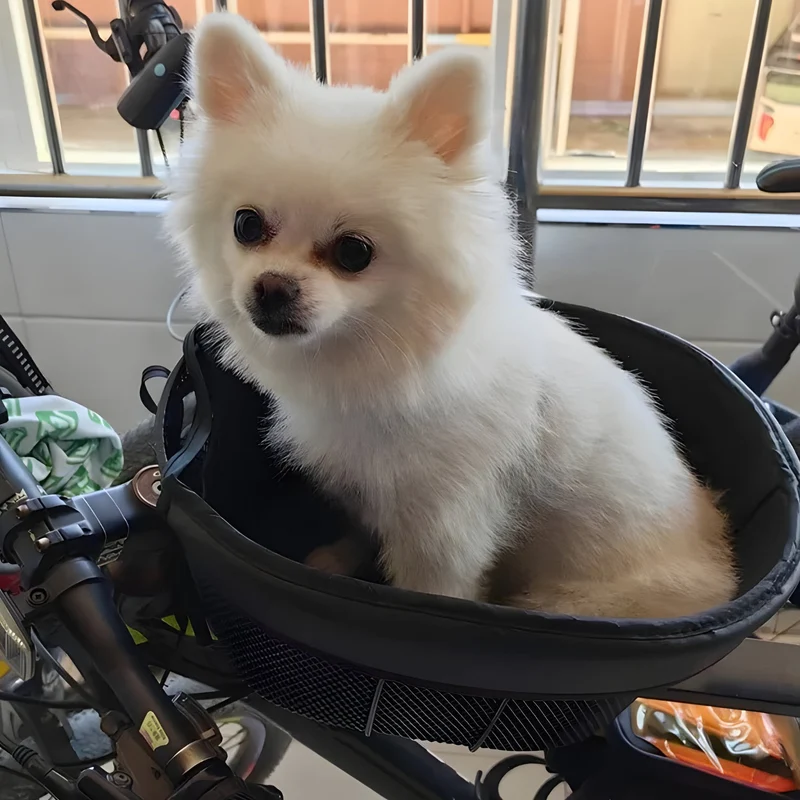 Cesta inteligente para bicicleta para perro