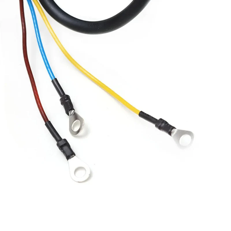 Rueda motorizada 300W Ninebot F25/F30