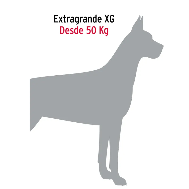 CORREA DE 1.2 M DE PASEO PARA PERRO, ESLABÓN 5 MM