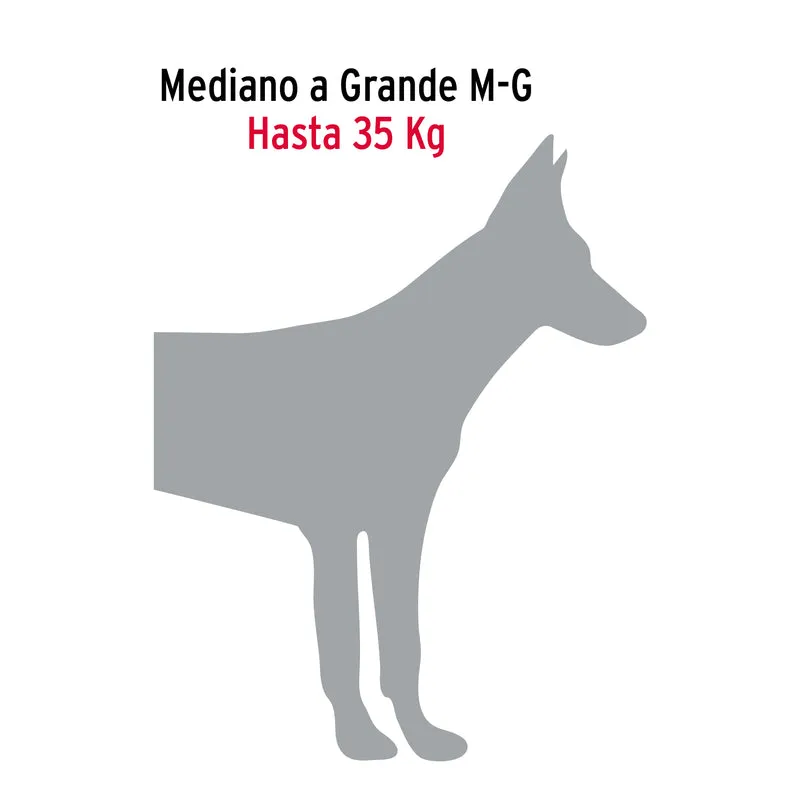 CORREA DE 1.2 M DE PASEO PARA PERRO, ESLABÓN 4 MM
