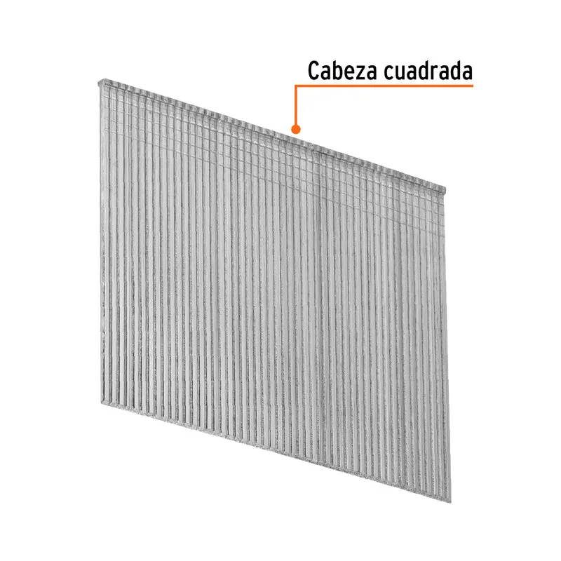 2500 CLAVOS CALIBRE 16, 64 MM PARA CLNE-16, TRUPER
