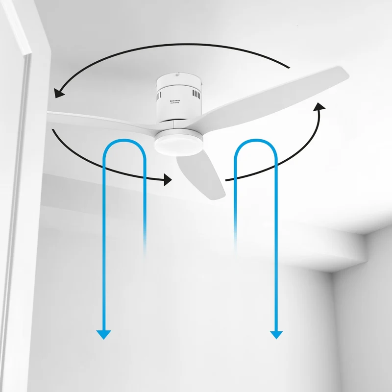 POLAR 3B PURE