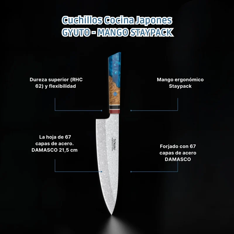 Cuchillo Cocina Profesional TOKYSU - Cuchillos Cocina Japones GYUTO de Acero DAMASCO 67 capas 21,5