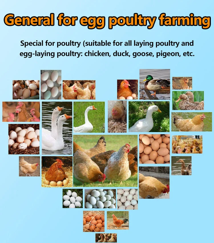 【2/4/6 kosov】 🦆🐓🦤Prehransko dopolnilo za proizvodnjo jajc piščancev, rac in gosi. Prehransko dopolnilo za hranjenje.-SI