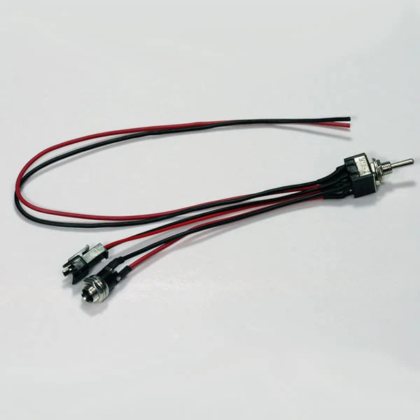 DPDT SWITCH W/2-PIN (F) JST CONNECTOR/2.1MM DC PANEL JACK MOUNT W/2 PVC WIRE LEADS