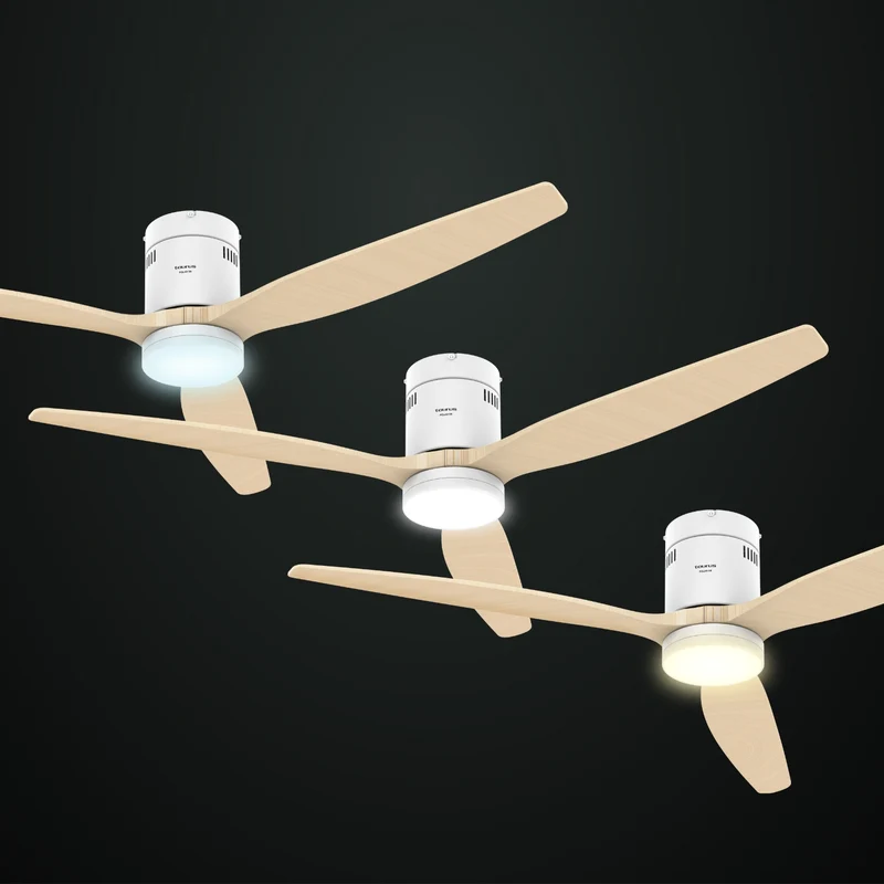 POLAR 3B