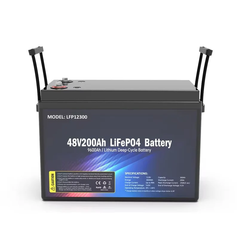 Batería SS-48V200AH LiFePO4 9600wh