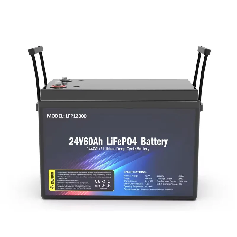 Batería SS-24V60AH LiFePO4 1440WH