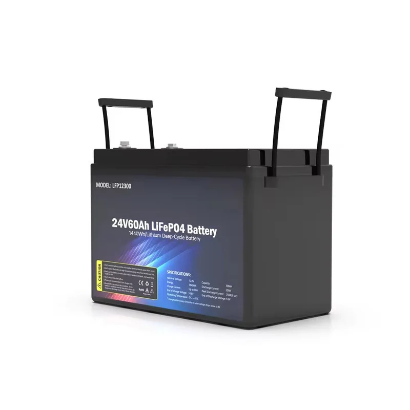 Batería SS-24V60AH LiFePO4 1440WH