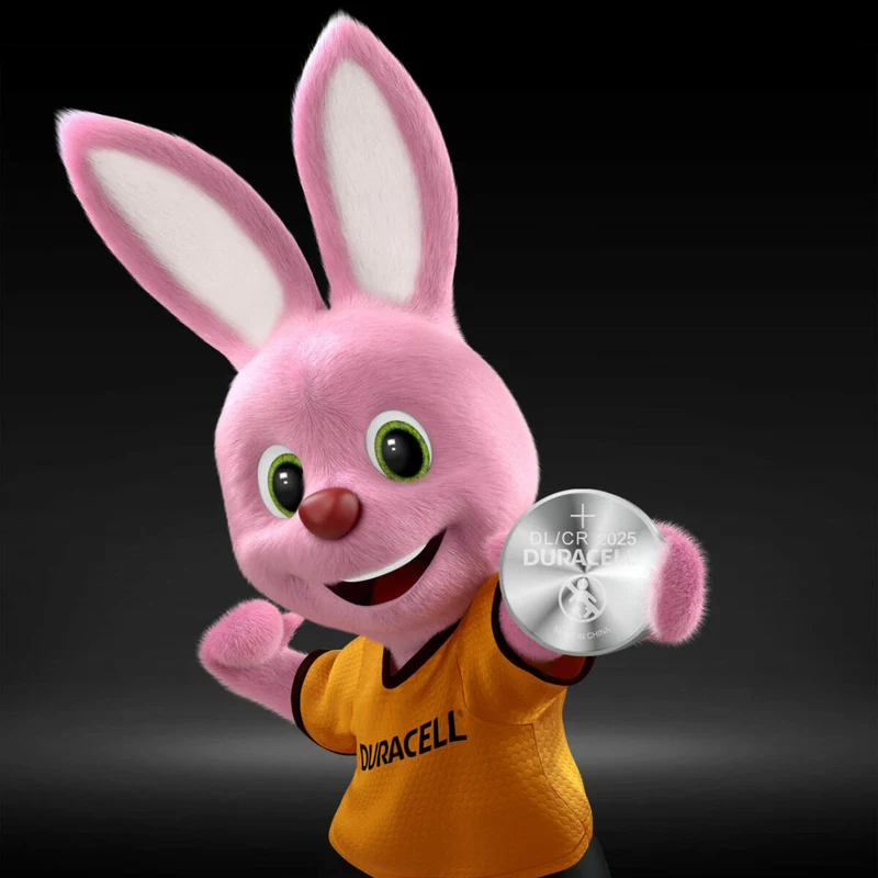 Pilas DURACELL 3V (10 Unidades)