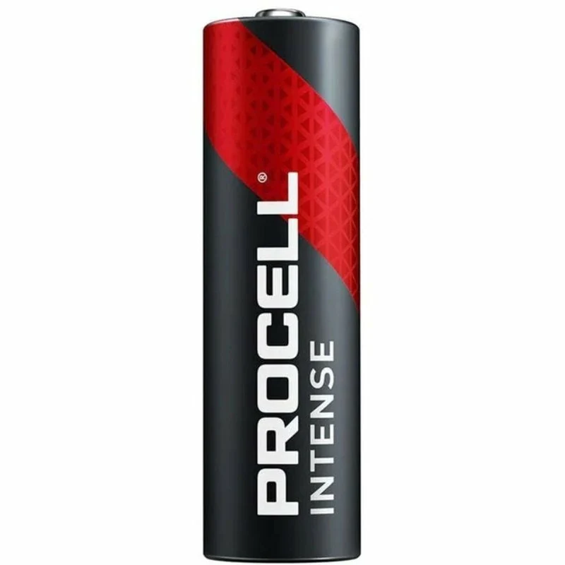 Pilas Recargables DURACELL DURINTLR6C10