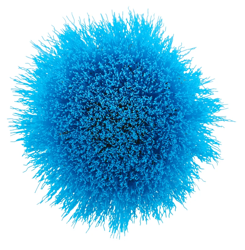 2 PC. Soft Bristle Brush Cleaning Kit