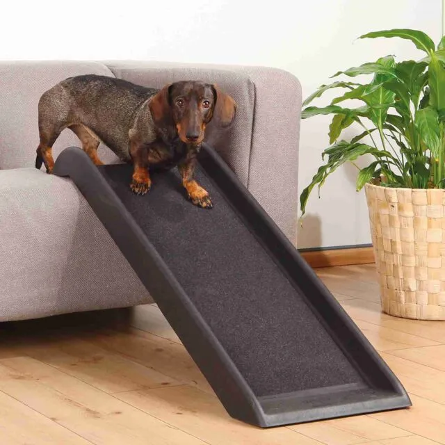 Trixie Pet Ramp for Small Dogs
