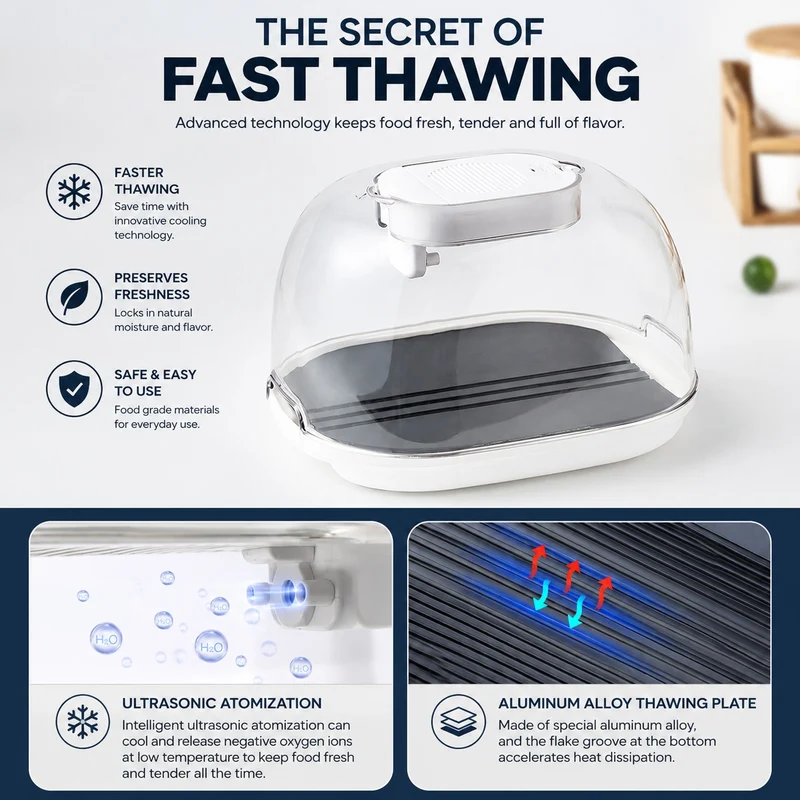 Smart Quick Defrosting Box Machine