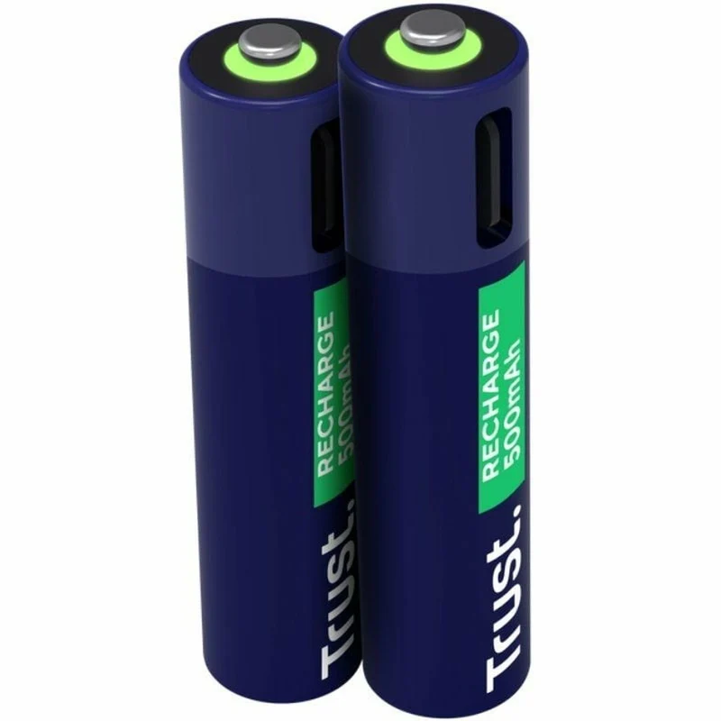 Pilas Trust 25585 AAA