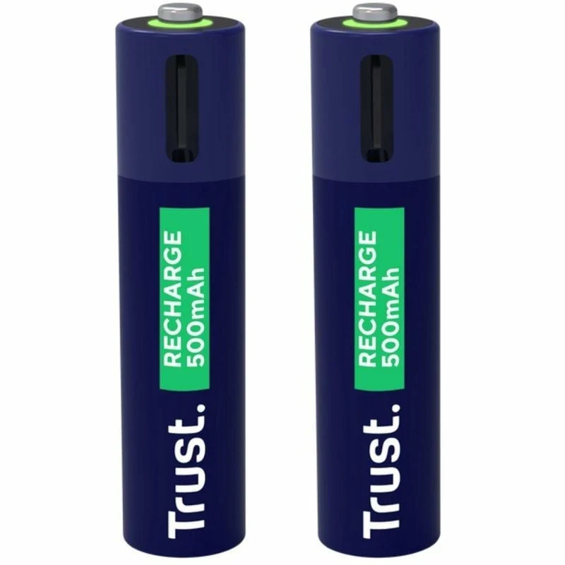 Pilas Trust 25585 AAA