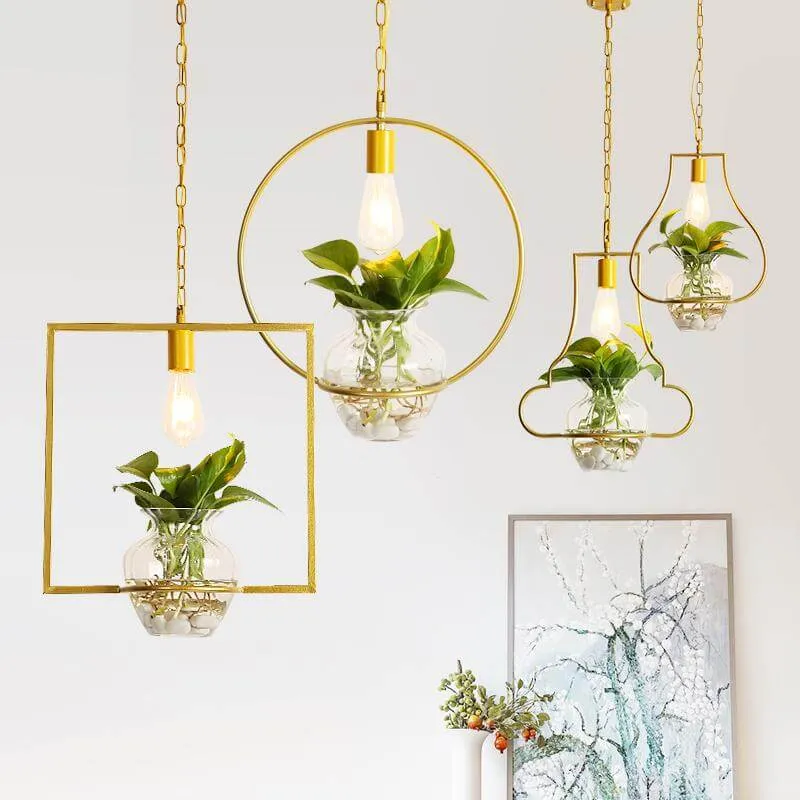 Modern Decorative Hanging Lights