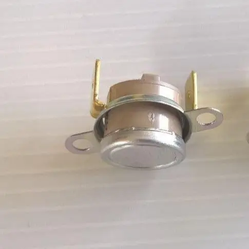 Termostato ty60 165° con staffa macchina a vapore Bieffe 1 pezzo