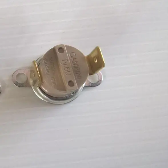 Termostato ty60 165° con staffa macchina a vapore Bieffe 1 pezzo