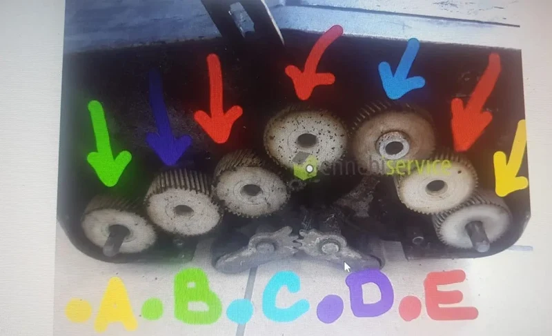 Ingranaggio "E" per tutti i modelli di lavapavimenti Rotowash
