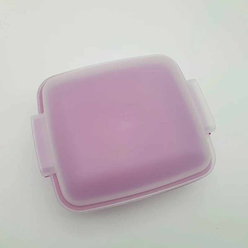 Vaporiera leonardo rettangolare microonde Whirlpool